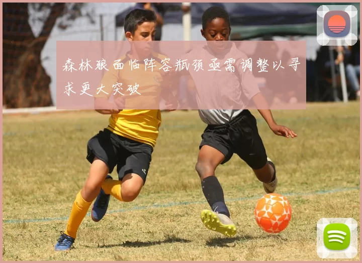 森林狼面临阵容瓶颈亟需调整以寻求更大突破